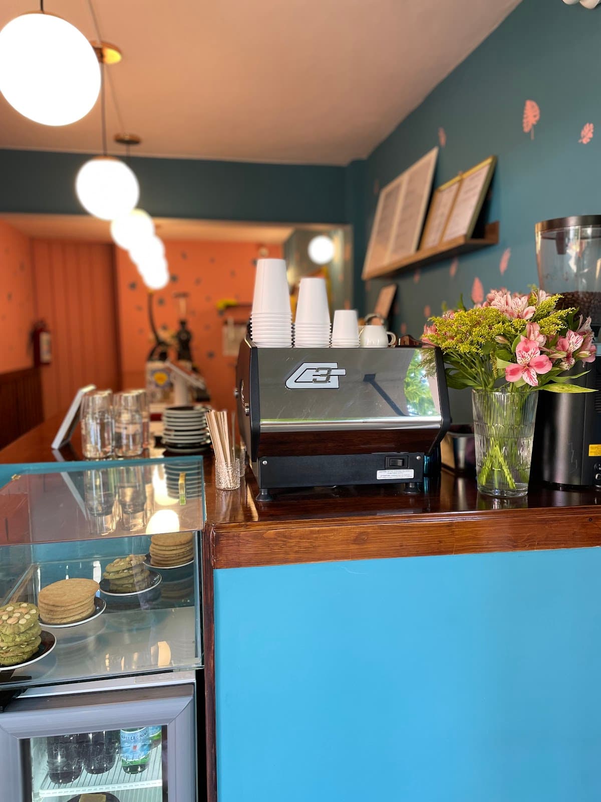 Micelio Café — foto 5